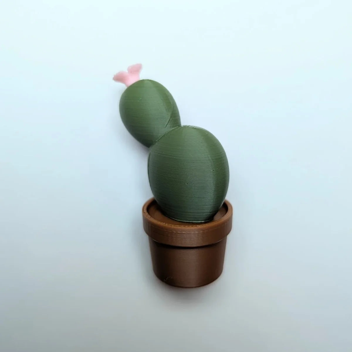 Decorațiuni haioase pentru frigider – magneți cactuși