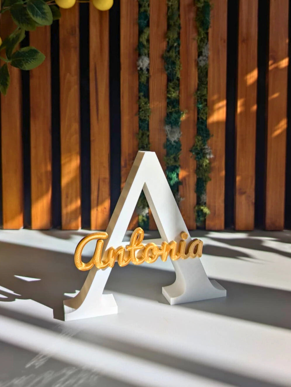 Litera personalizata A cu nume Antpnia, imprimata 3D pentru decor