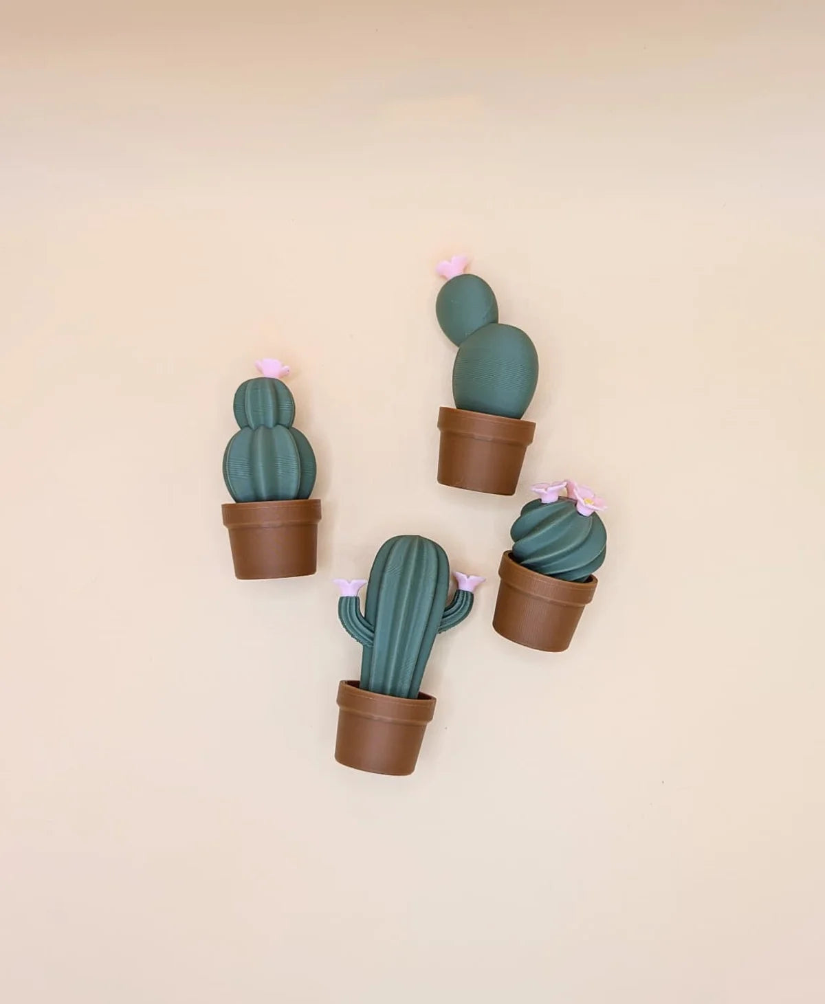 Set de magneți originali cadou în formă de cactuși