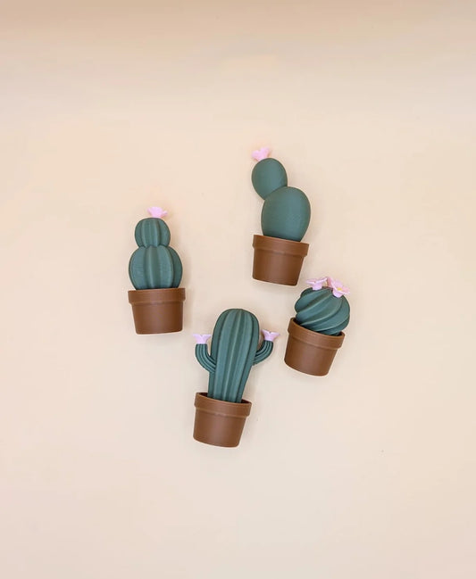 Set de magneți originali cadou în formă de cactuși