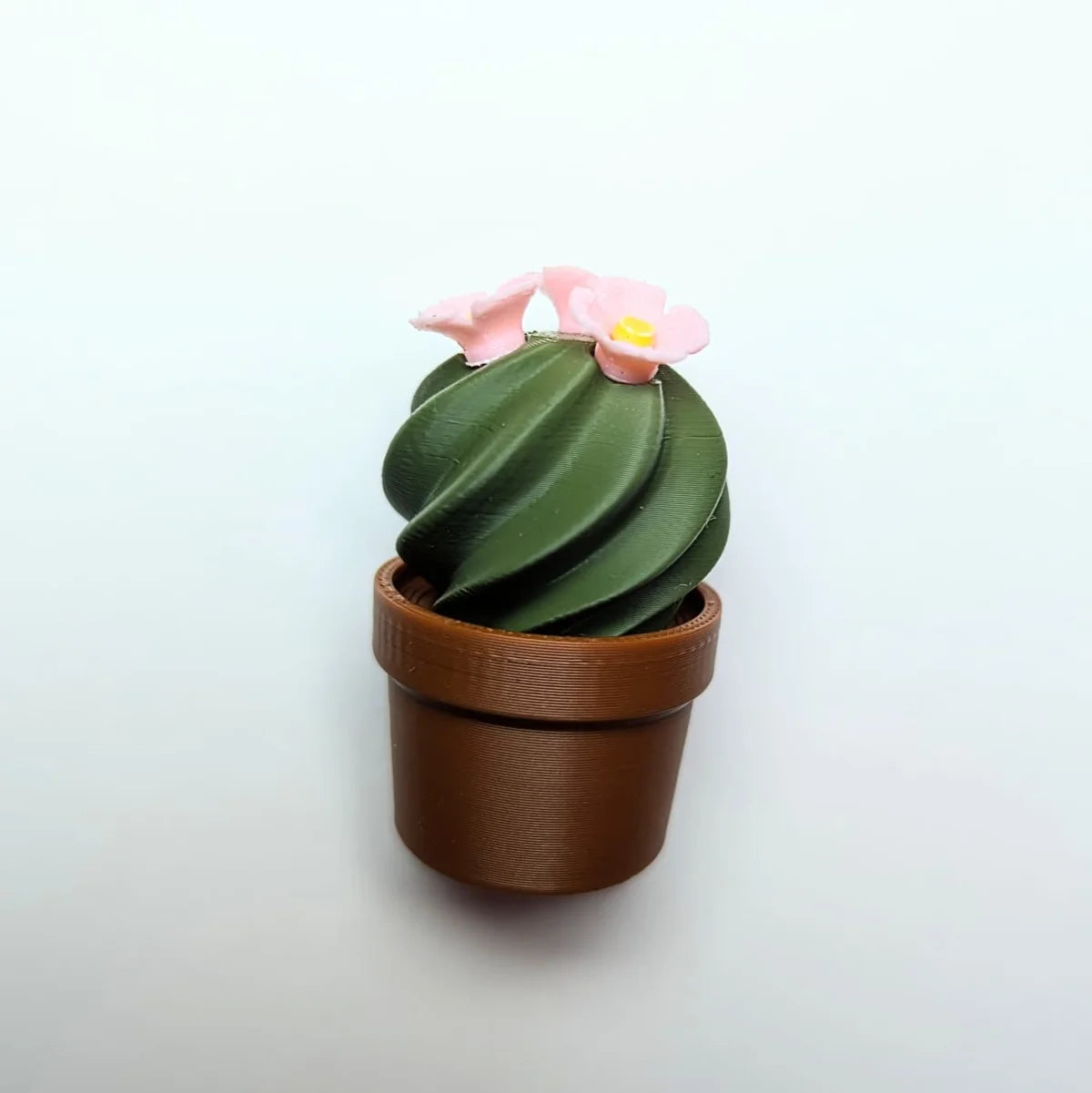Magnet cactus verde cu flori roz imprimat 3D