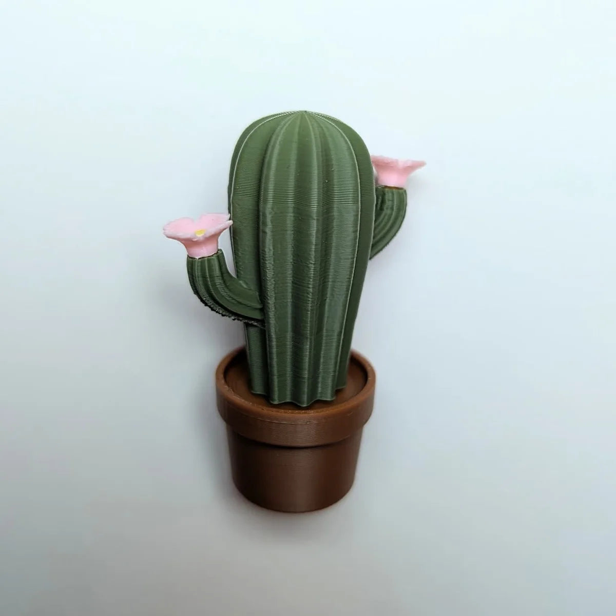 Set 4 magneți cactuși printați 3D pentru frigider și birou