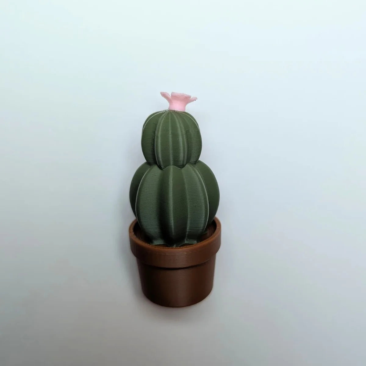 Magneți cactuși eco din PLA biodegradabil