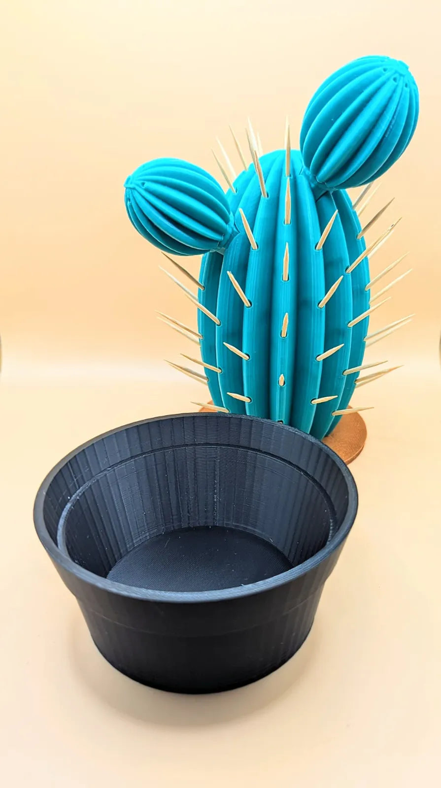 Cactus Party – Suport de scobitori cu solnite si spatiu de depozitare
