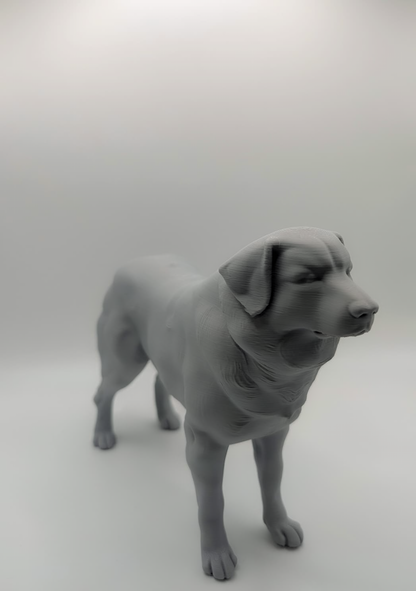 Figurină 3D animal de companie (câine), o amintire fizică printată 3D a prietenului tău blănos.
