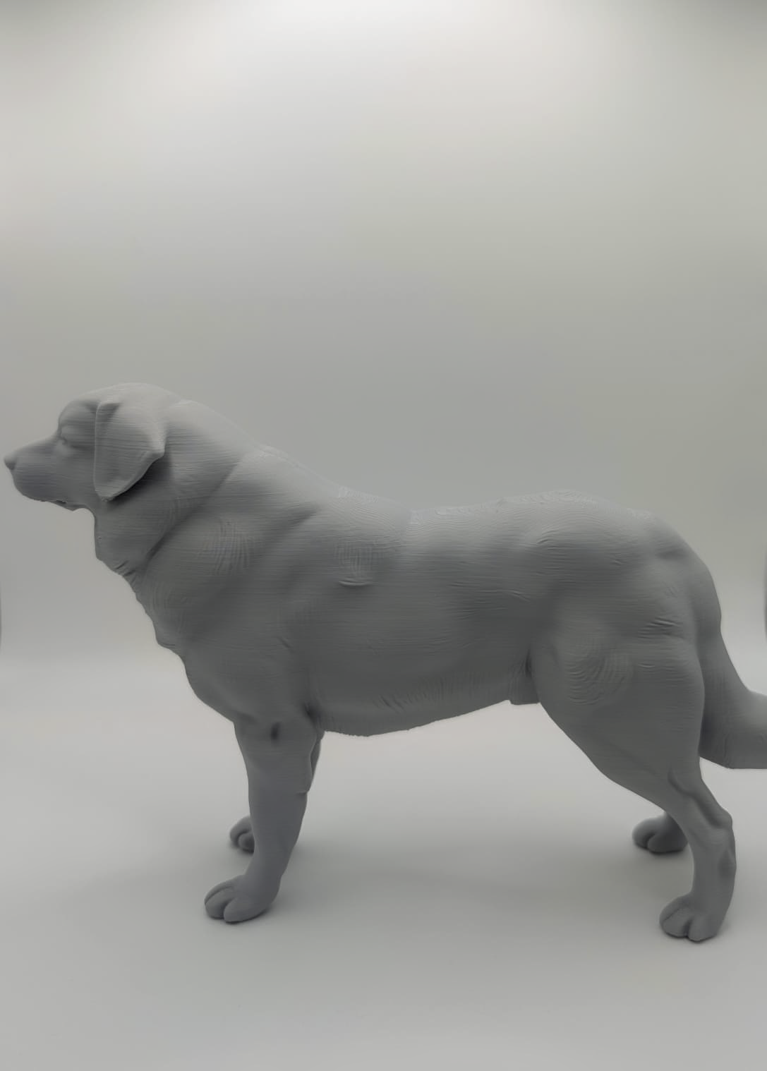 Statuetă personalizată 3D a unui câine, realizată exact după fotografia animalului de companie.